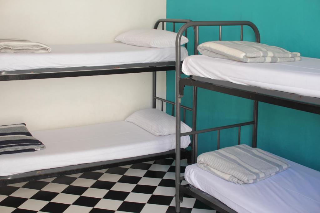 Bett im 4-Bett-Schlafsaal mit Gemeinschaftsbad